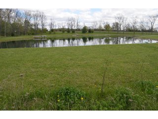 Property photo 6 - Real Estate & Personal Property Auction, Country Home, Building Sites, Pond
